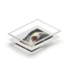 Transformation - Fine Art Prints (Passepartout Paper Frame) - Image 6