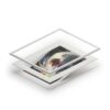 Transformation - Fine Art Prints (Passepartout Paper Frame) - Image 2